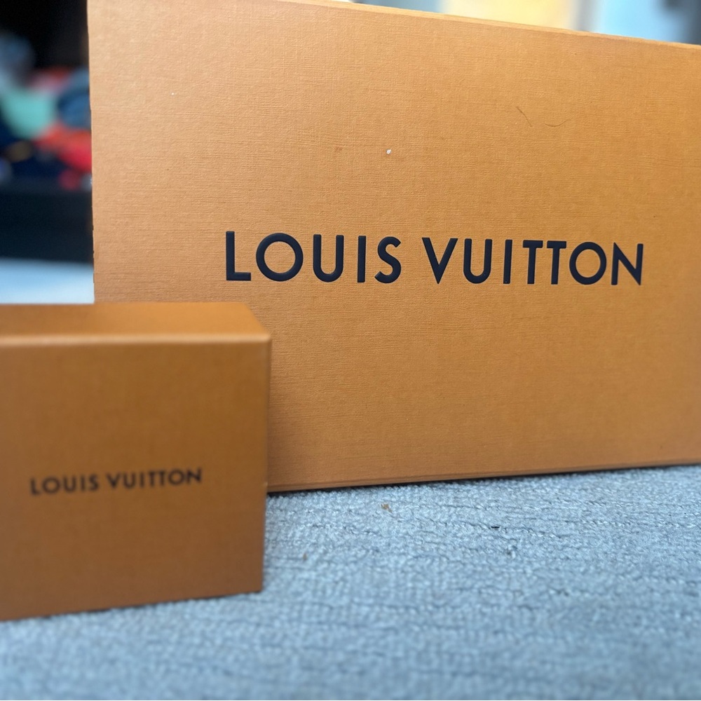 Louis Vuitton Signature Orange Wardrobe boxes